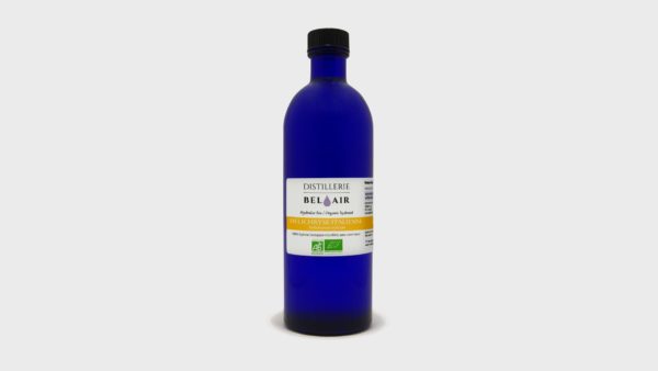 Hélichryse Italienne (Immortelle) - Hydrolat bio - Boutique Bel Air