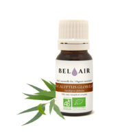 Eucalyptus globulus - Huile essentielle bio - 10ml Distillerie Bel Air