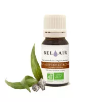 Eucalyptus citronné - Huile essentielle bio Distillerie Bel Air